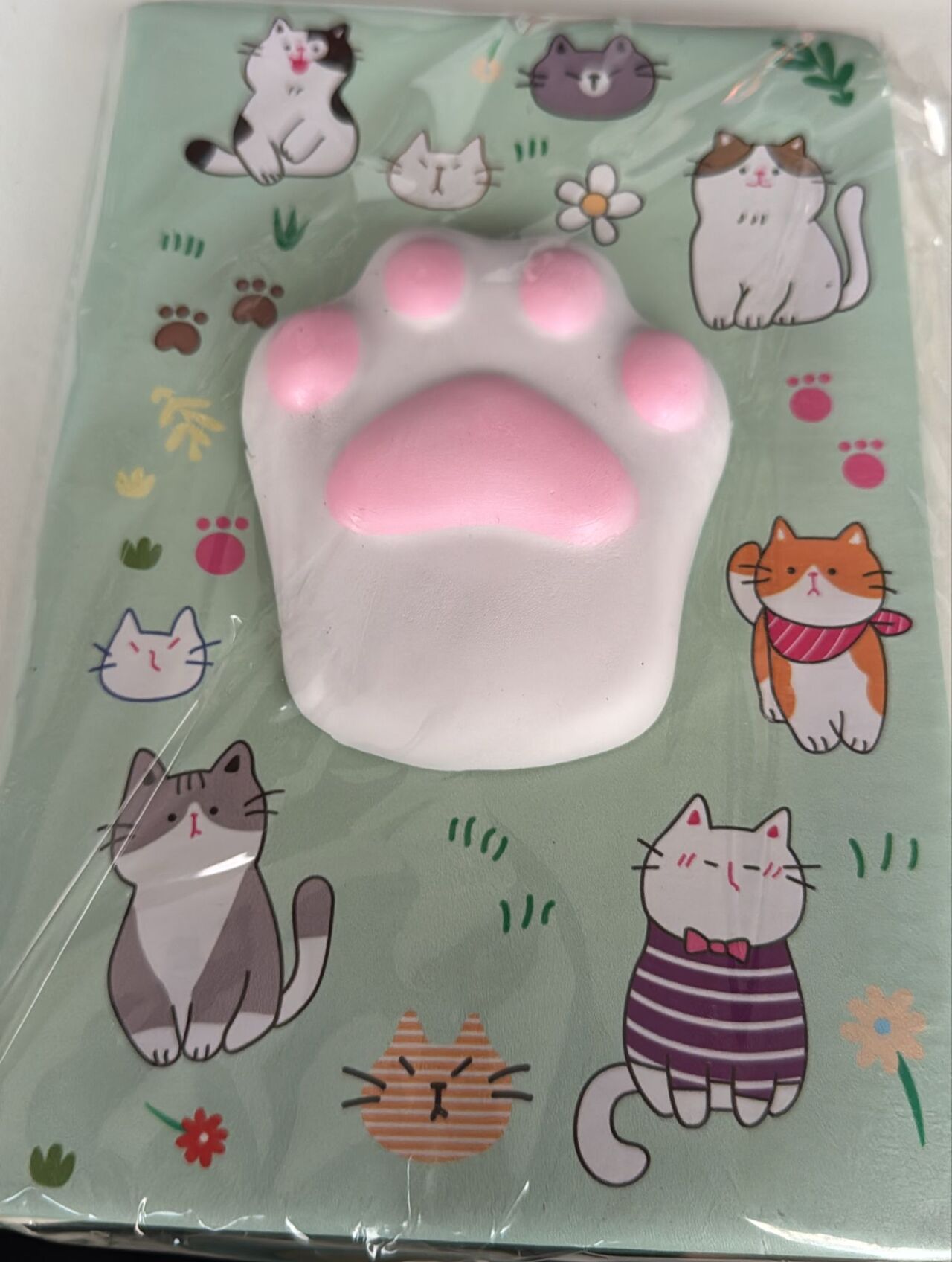 PATİ SUKUŞİ DEFTER