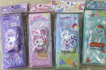 MIKNATISLI KALEM KUTU